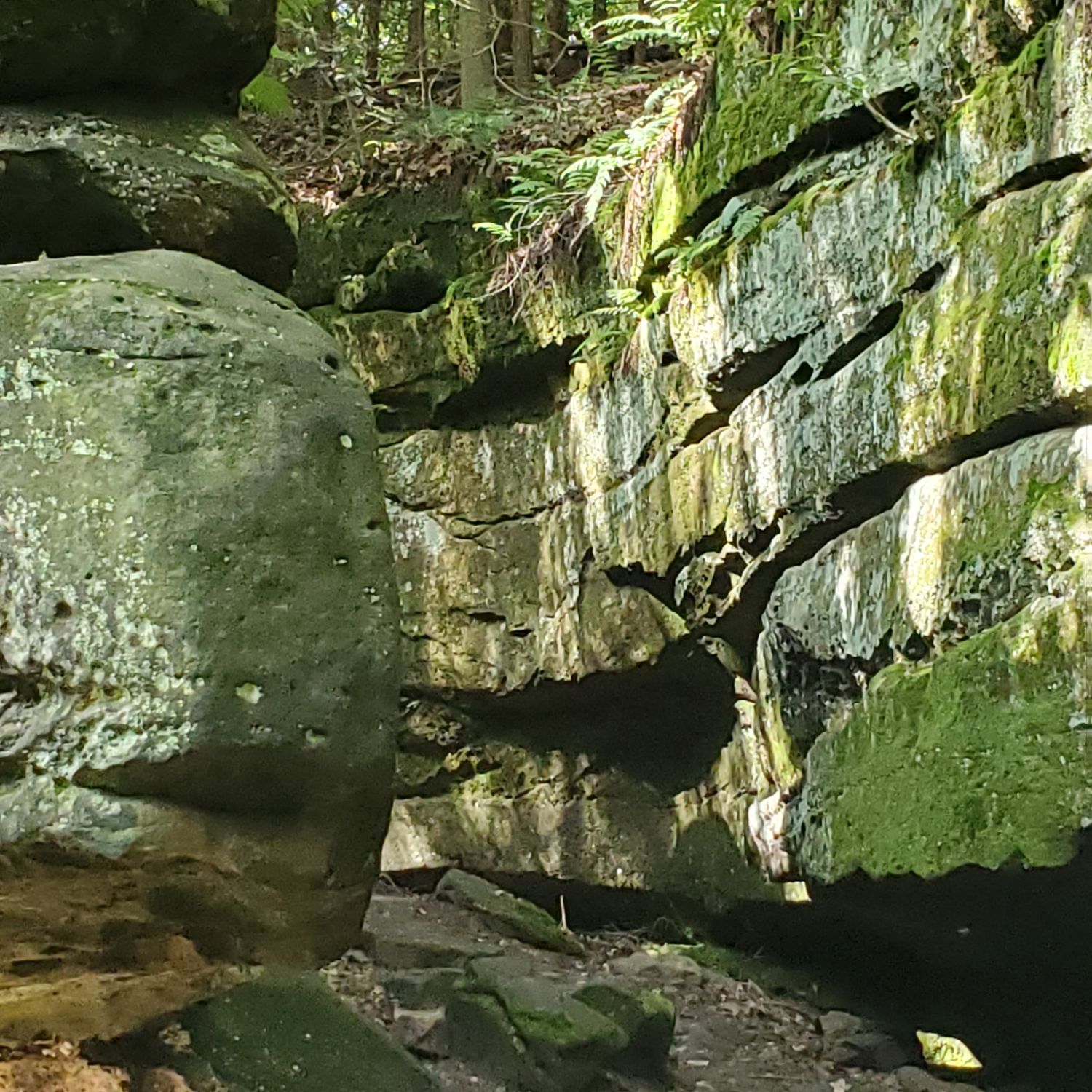 Ledges and Pine Grove Trails 